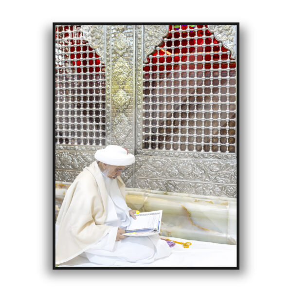 Syedna Mufaddal Saifuddin