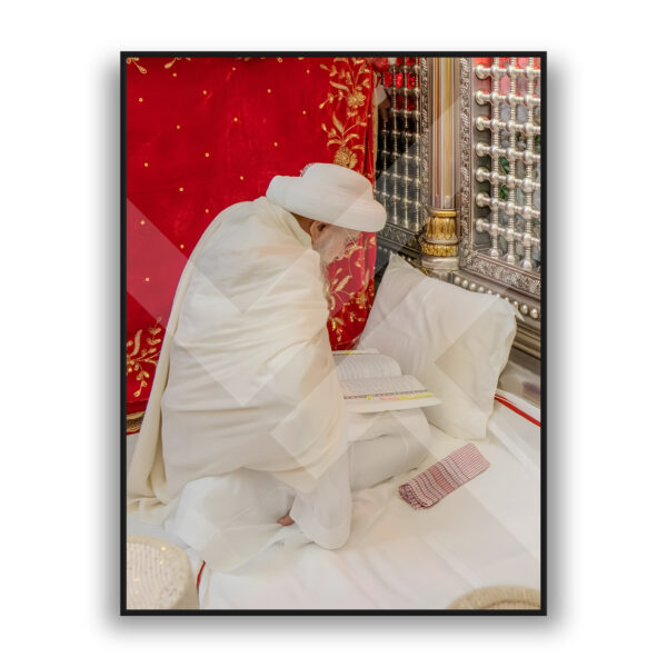 Syedna Mufaddal Saifuddin