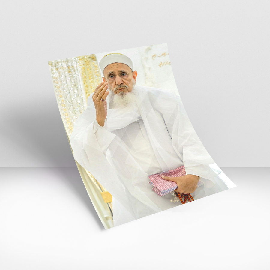Syedna Mohammed Burhanuddin