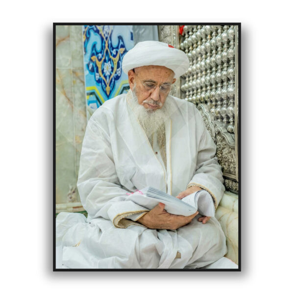 Syedna Mufaddal Saifuddin