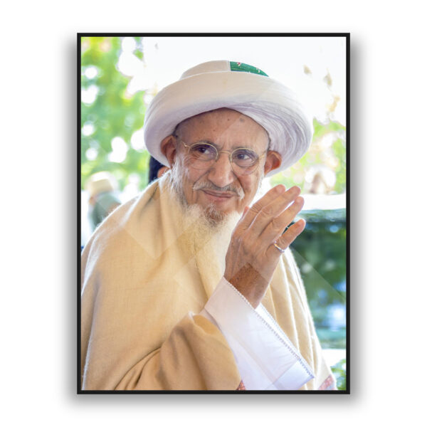Syedna Mufaddal Saifuddin