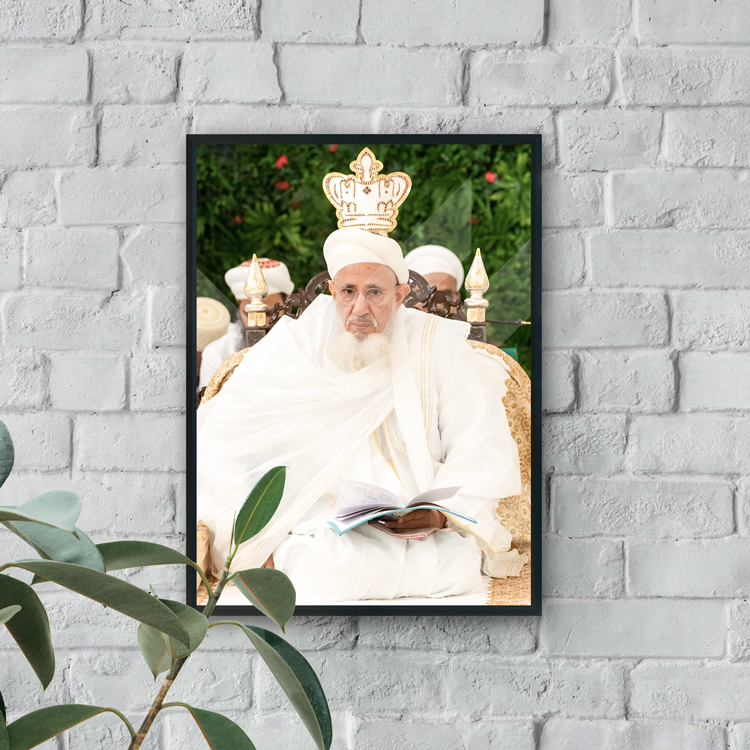 Syedna Mufaddal Saifuddin