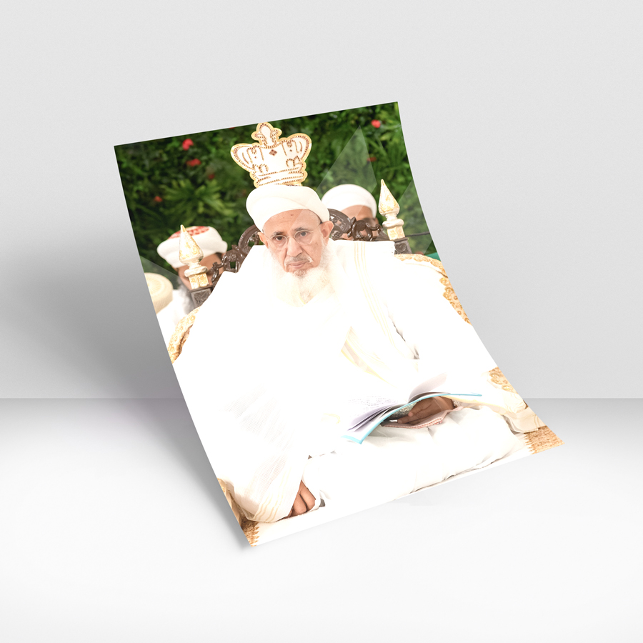 Syedna Mufaddal Saifuddin
