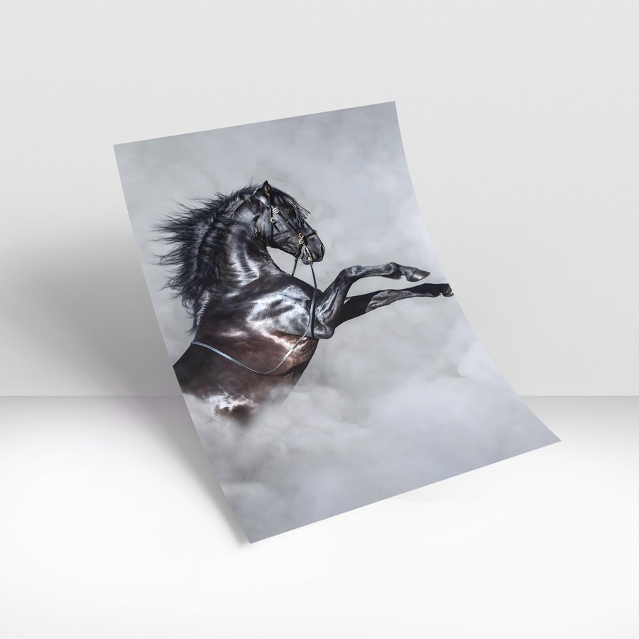 Black stallion rearing in mist with flowing mane against a soft gray background, framed modern wall art.