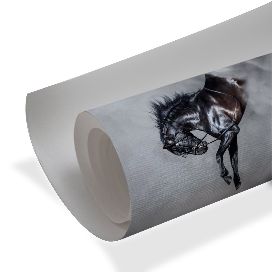 Midnight Majesty – Black Stallion Wall Art - Image 4