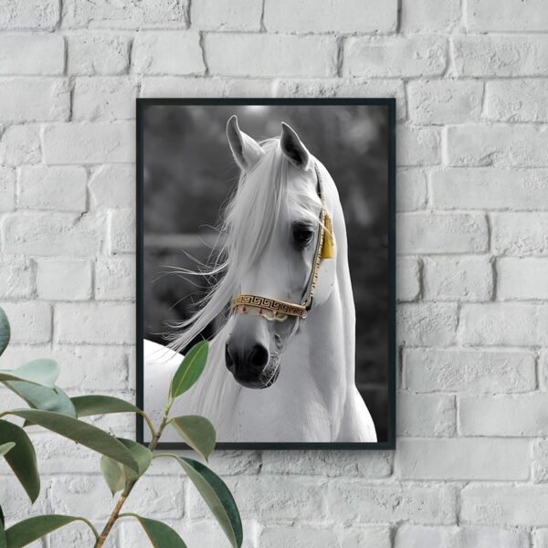 Framed wall art of a white stallion portrait with flowing mane and gold-accented bridle against a blurred gray background.