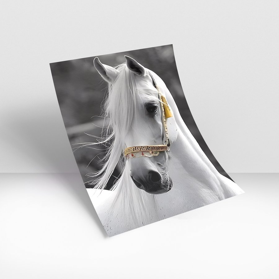 Framed wall art of a white stallion portrait with flowing mane and gold-accented bridle against a blurred gray background.