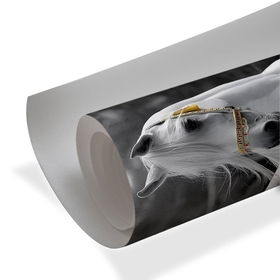 Silver Grace – White Stallion Portrait Wall Art - Image 4