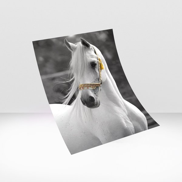 white horse portrait luxury wall art with gold bridle modern elegant decor