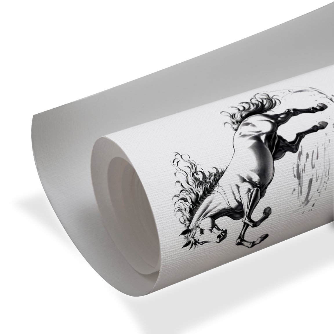 Black and white rearing horse modern luxury wall art design