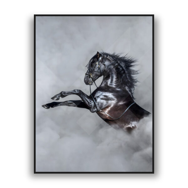 Black horse rearing in mist, modern wall art for luxury wall decor interiors