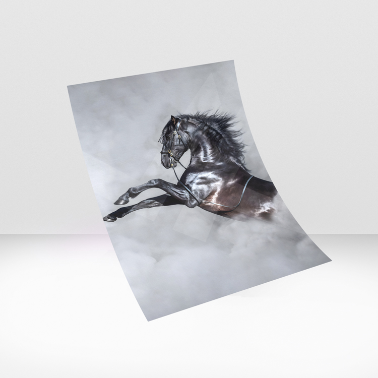 Black horse rearing in mist, modern wall art for luxury wall decor interiors