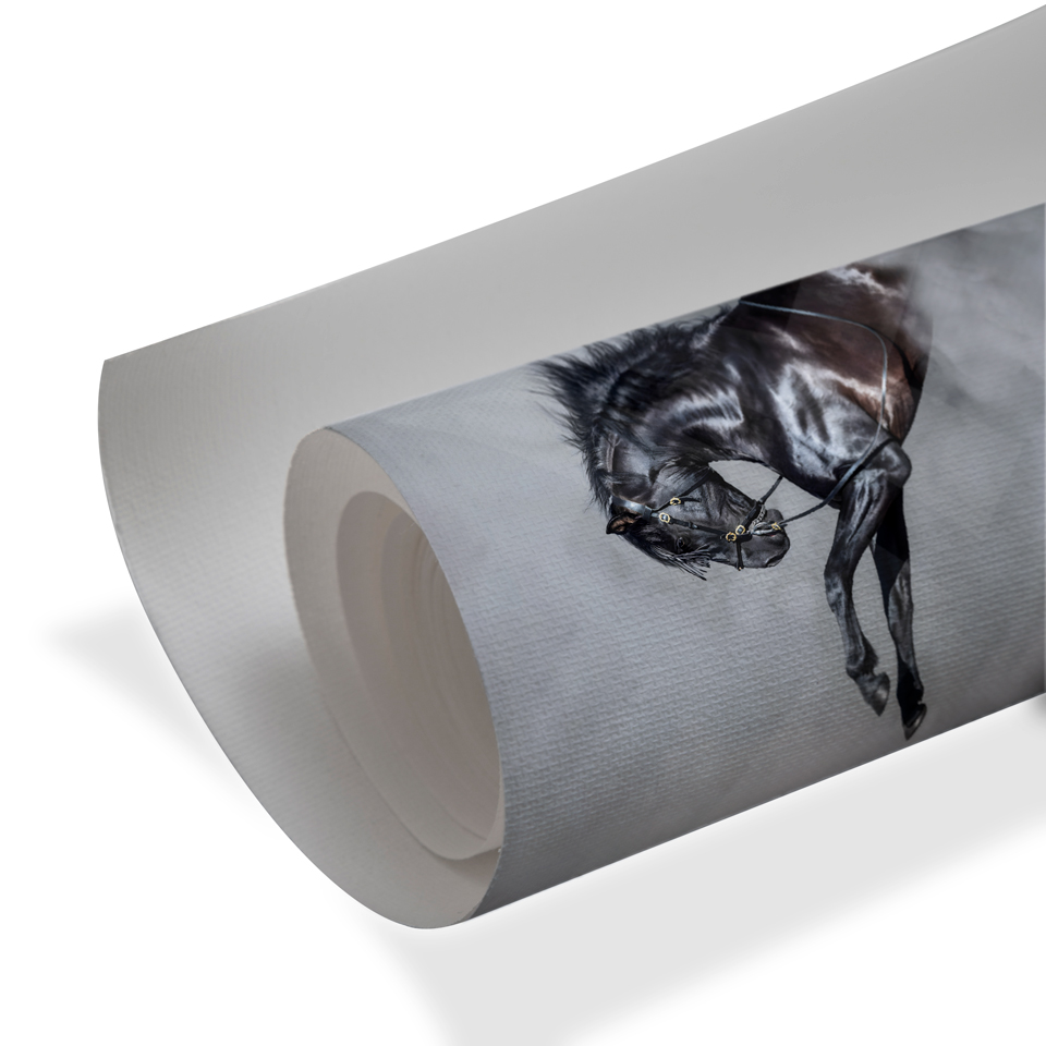 Black horse rearing in mist, modern wall art for luxury wall decor interiors